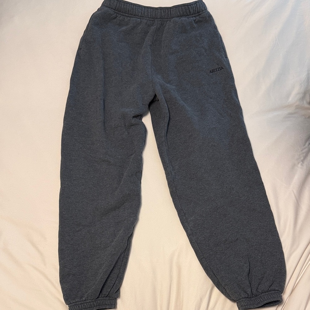 Aritzia womens Charcoal Joggers